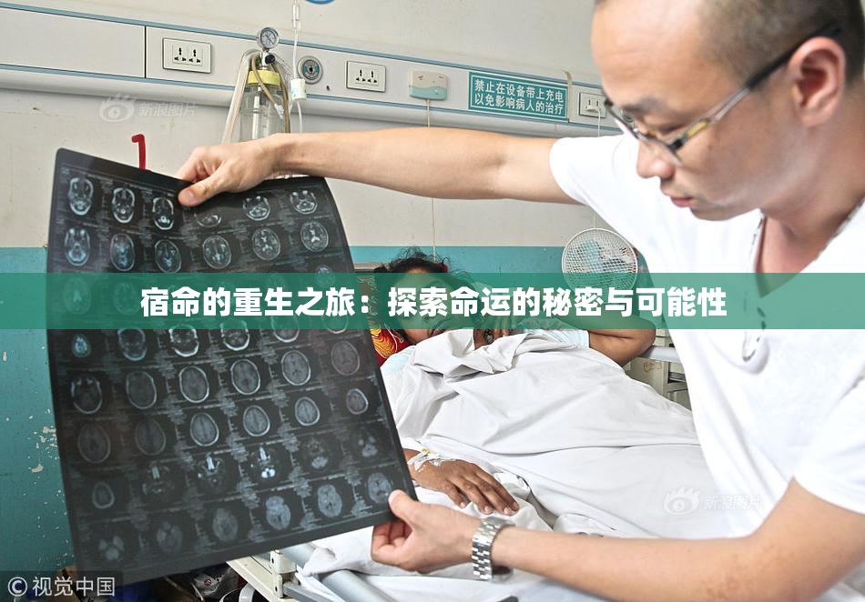 宿命的重生之旅：探索命运的秘密与可能性