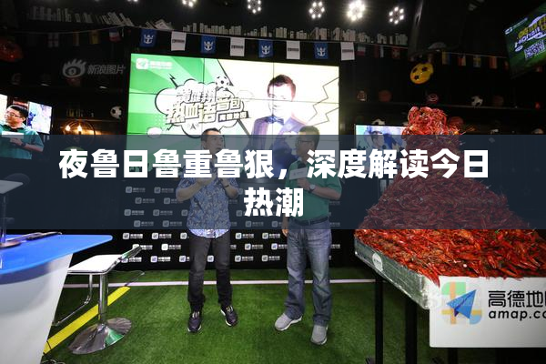 夜鲁日鲁重鲁狠，深度解读今日热潮
