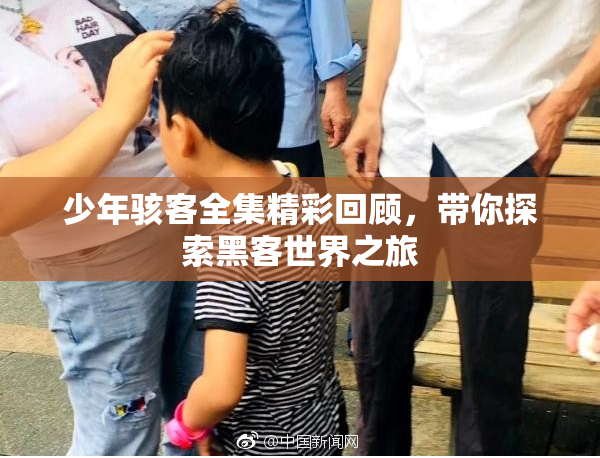 少年骇客全集精彩回顾，带你探索黑客世界之旅
