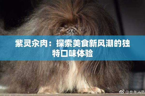 紫灵汆肉：探索美食新风潮的独特口味体验
