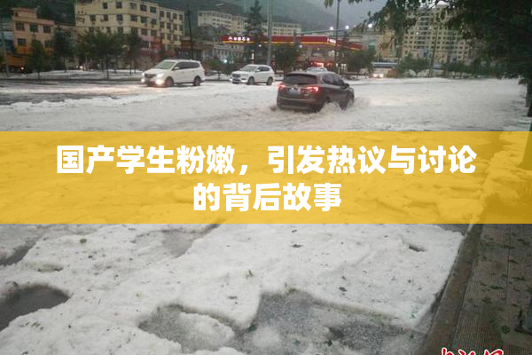 国产学生粉嫩，引发热议与讨论的背后故事