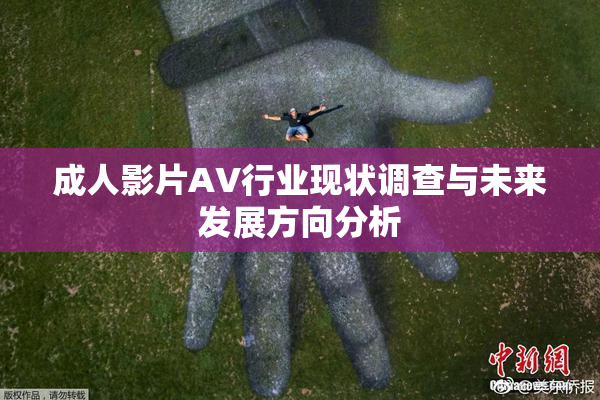 成人影片AV行业现状调查与未来发展方向分析