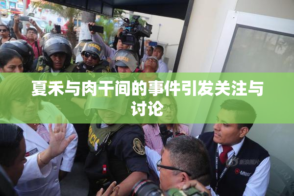 夏禾与肉干间的事件引发关注与讨论