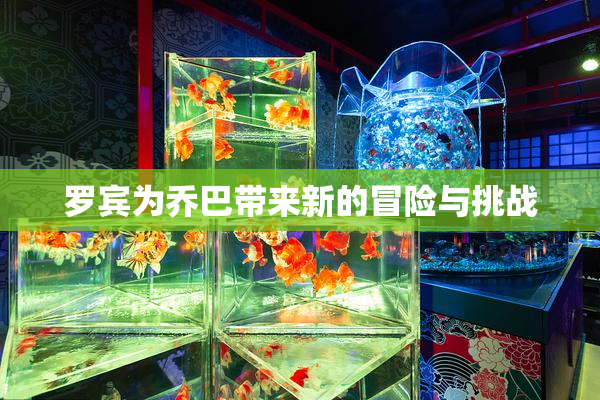 罗宾为乔巴带来新的冒险与挑战