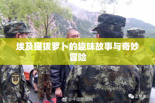 埃及猫拔萝卜的趣味故事与奇妙冒险