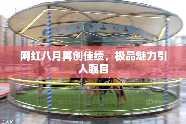 网红八月再创佳绩，极品魅力引人瞩目