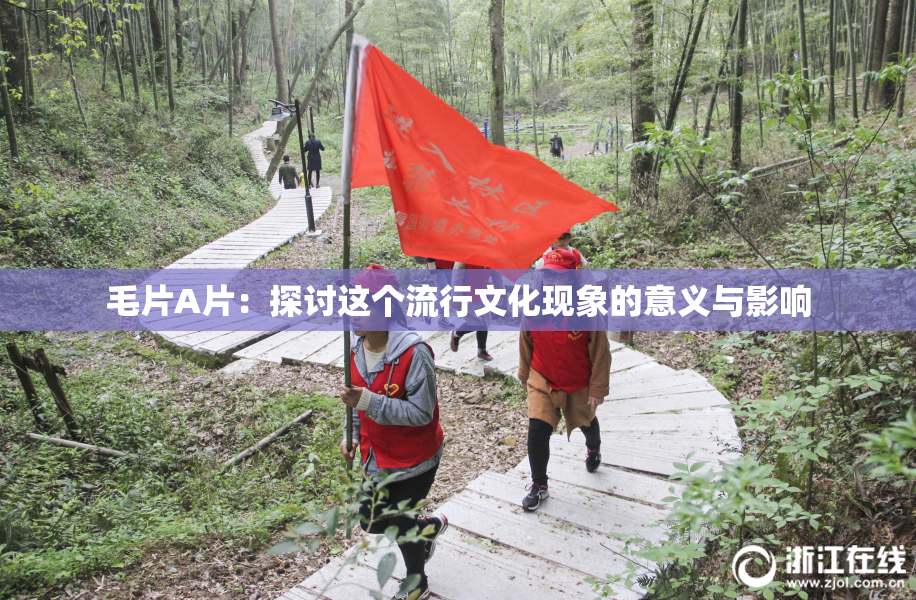 毛片A片：探讨这个流行文化现象的意义与影响