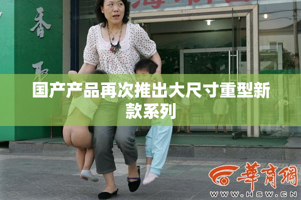 国产产品再次推出大尺寸重型新款系列