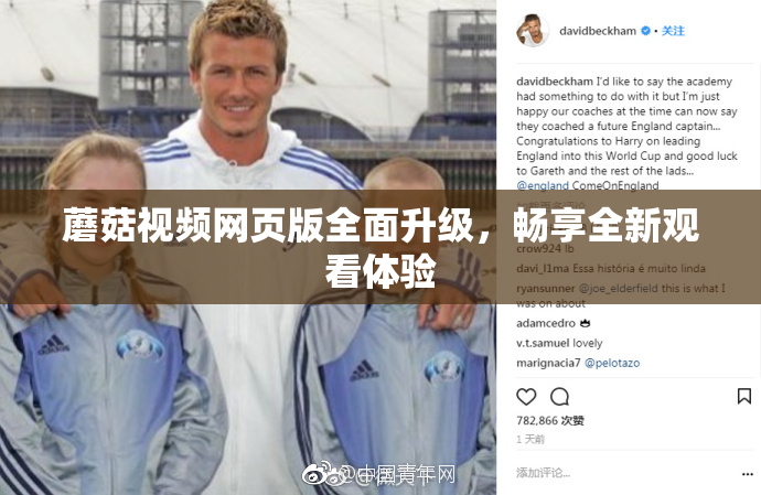蘑菇视频网页版全面升级，畅享全新观看体验