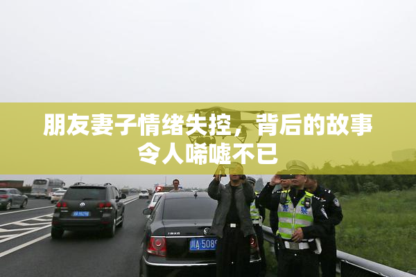 朋友妻子情绪失控，背后的故事令人唏嘘不已