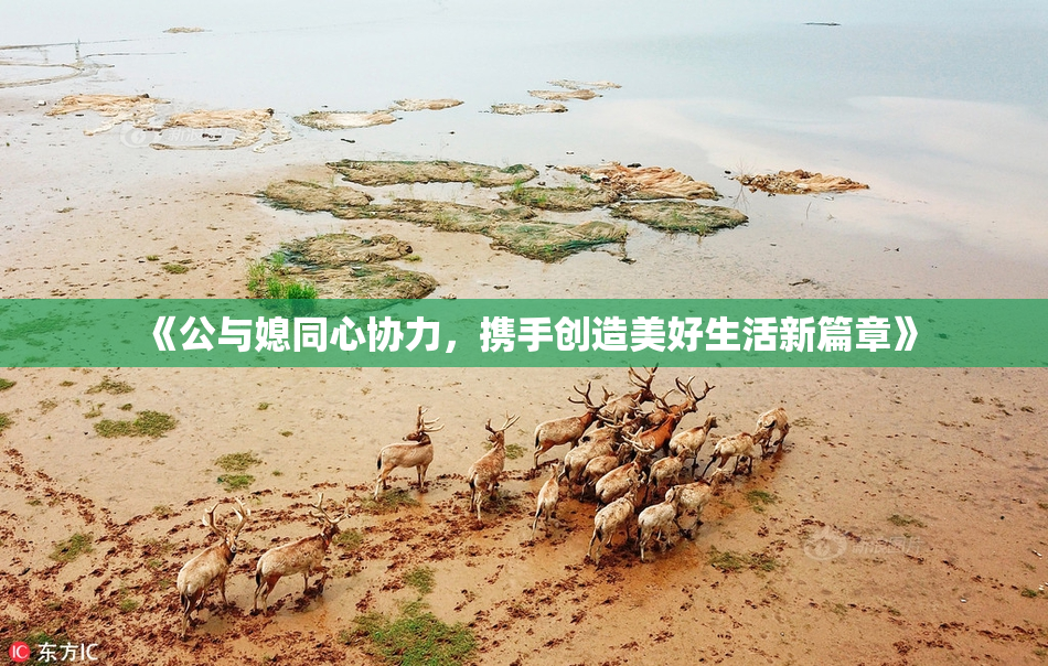 《公与媳同心协力，携手创造美好生活新篇章》