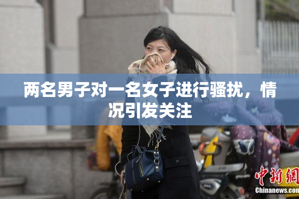 两名男子对一名女子进行骚扰，情况引发关注