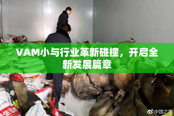 VAM小与行业革新碰撞，开启全新发展篇章