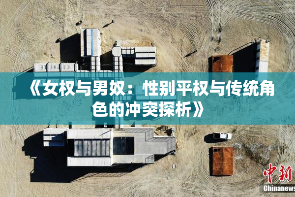 《女权与男奴：性别平权与传统角色的冲突探析》