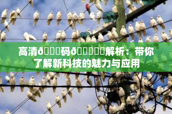 高清🈚码🔞❌‌解析：带你了解新科技的魅力与应用