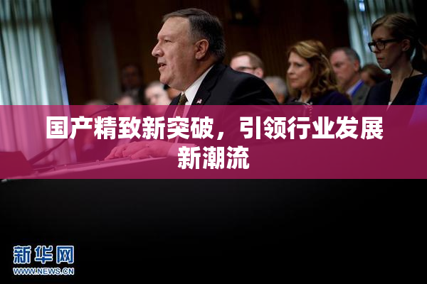 国产精致新突破，引领行业发展新潮流