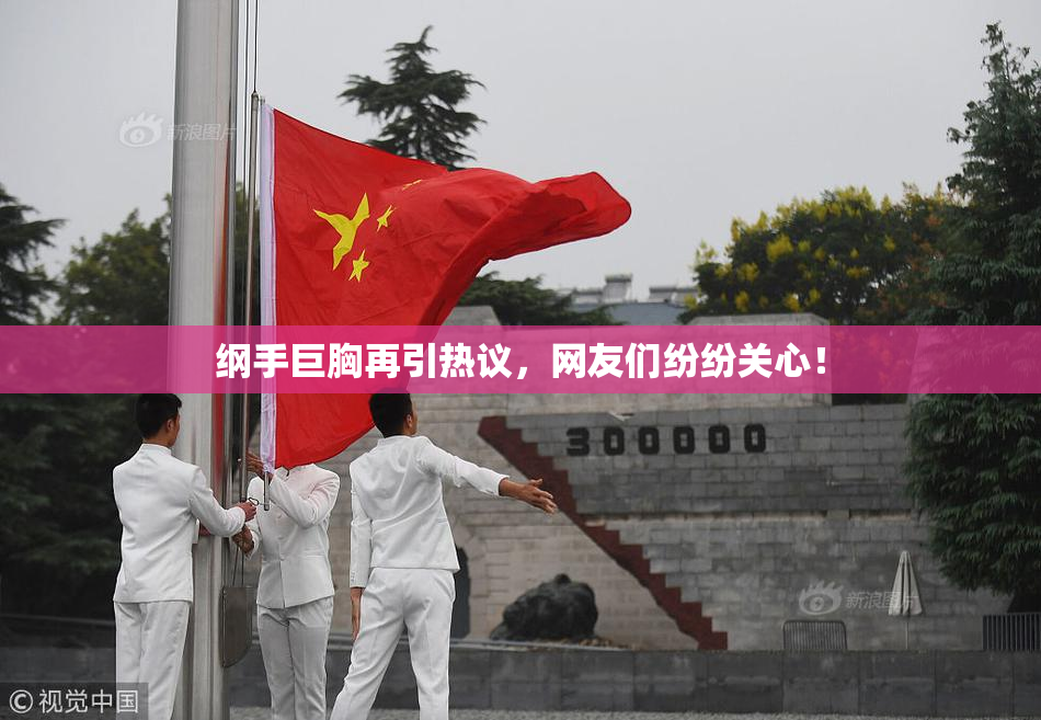 纲手巨胸再引热议，网友们纷纷关心！