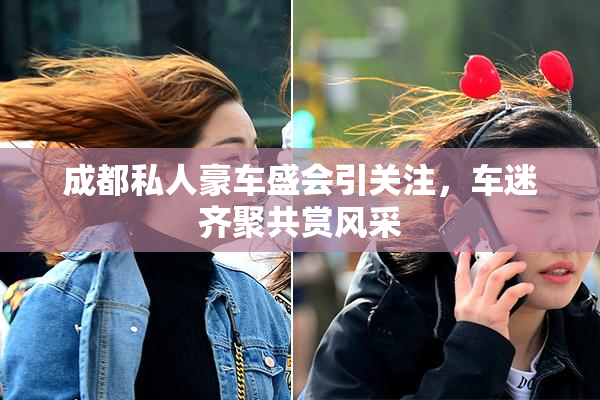 成都私人豪车盛会引关注，车迷齐聚共赏风采