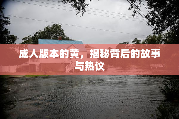 成人版本的黄，揭秘背后的故事与热议