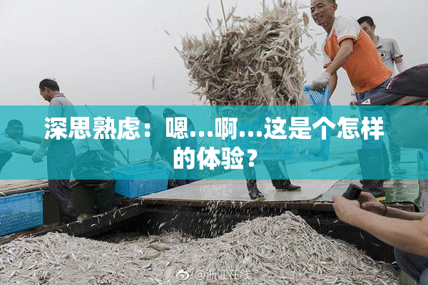 深思熟虑：嗯…啊…这是个怎样的体验？