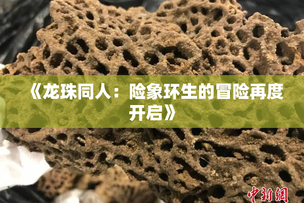 《龙珠同人：险象环生的冒险再度开启》