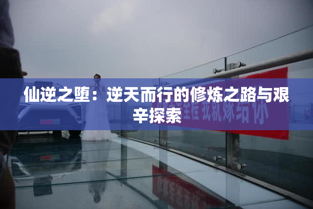 仙逆之堕：逆天而行的修炼之路与艰辛探索