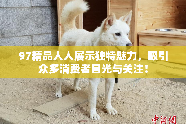 97精品人人展示独特魅力，吸引众多消费者目光与关注！