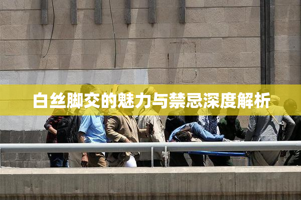 白丝脚交的魅力与禁忌深度解析