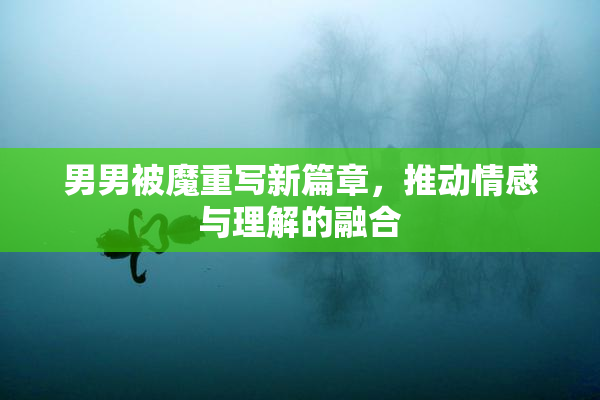 男男被魔重写新篇章，推动情感与理解的融合