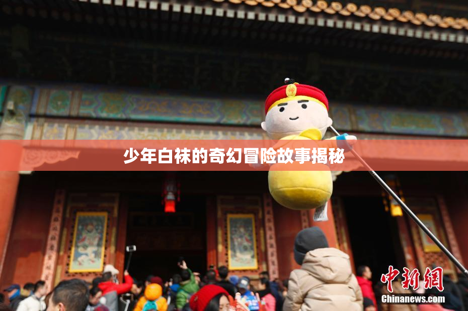 少年白袜的奇幻冒险故事揭秘