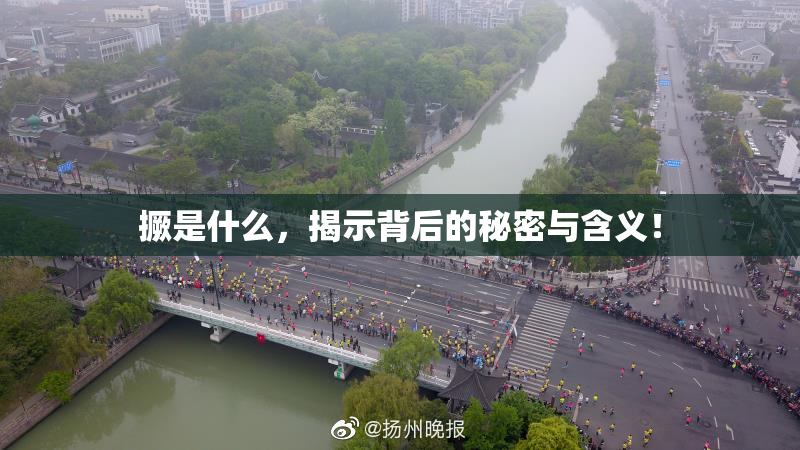 撅是什么，揭示背后的秘密与含义！