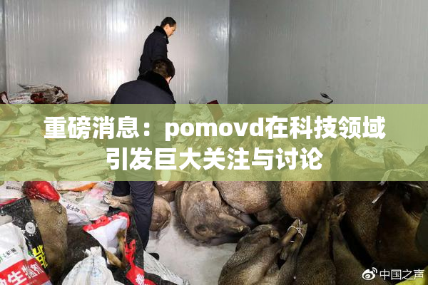 重磅消息：pomovd在科技领域引发巨大关注与讨论