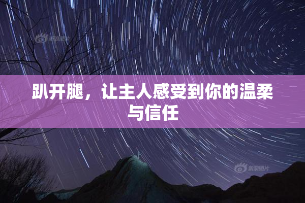 趴开腿，让主人感受到你的温柔与信任