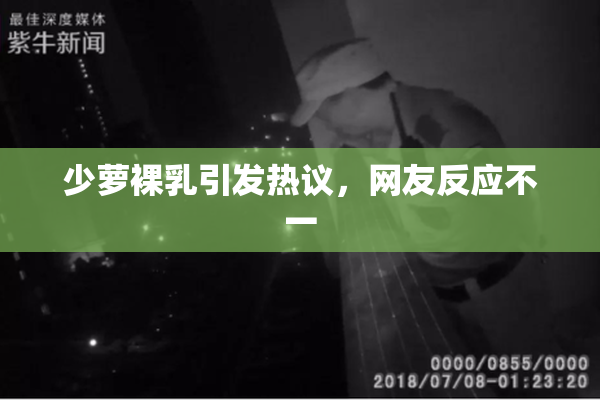 少萝裸乳引发热议，网友反应不一