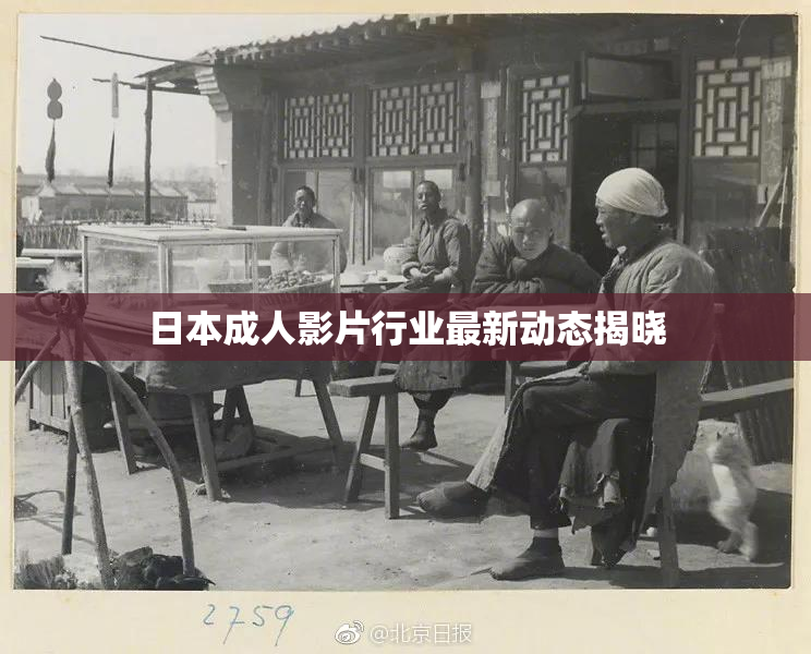 日本成人影片行业最新动态揭晓