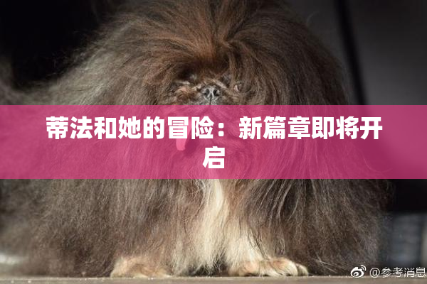 蒂法和她的冒险：新篇章即将开启