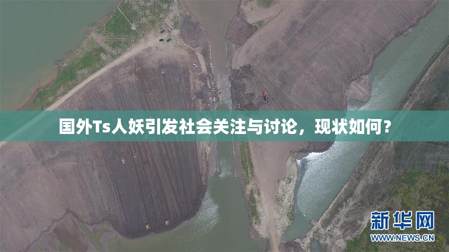 国外Ts人妖引发社会关注与讨论，现状如何？
