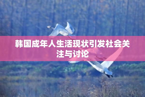 韩国成年人生活现状引发社会关注与讨论