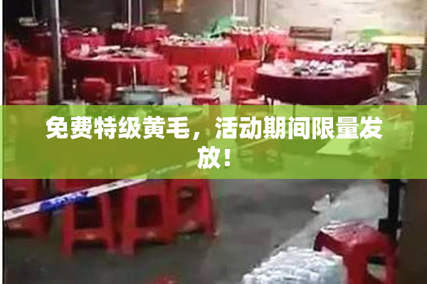 免费特级黄毛，活动期间限量发放！