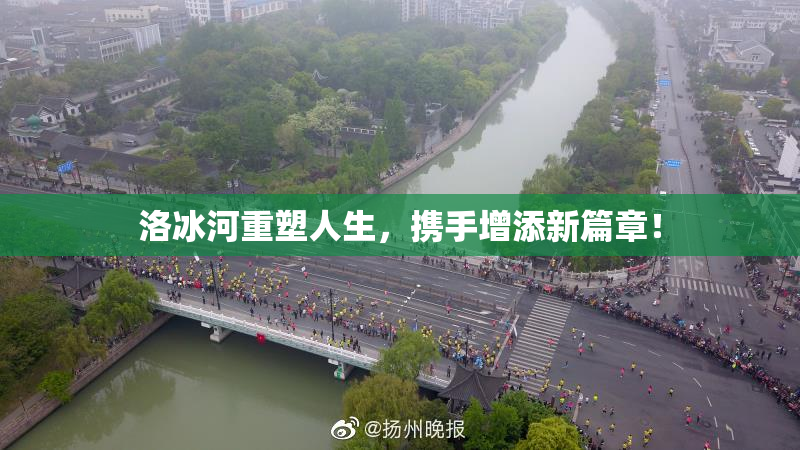 洛冰河重塑人生，携手增添新篇章！