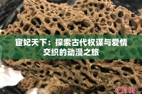 宦妃天下：探索古代权谋与爱情交织的动漫之旅