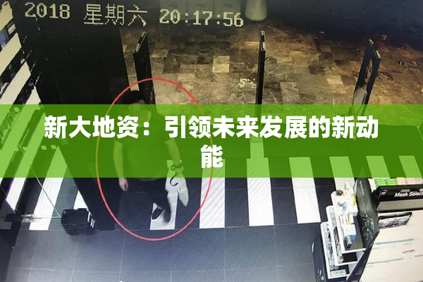 新大地资：引领未来发展的新动能