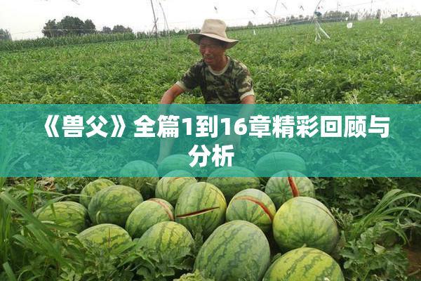 《兽父》全篇1到16章精彩回顾与分析