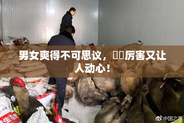 男女爽得不可思议，❌‌厉害又让人动心！