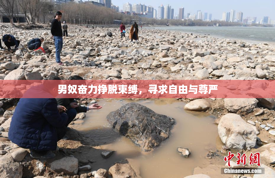 男奴奋力挣脱束缚，寻求自由与尊严