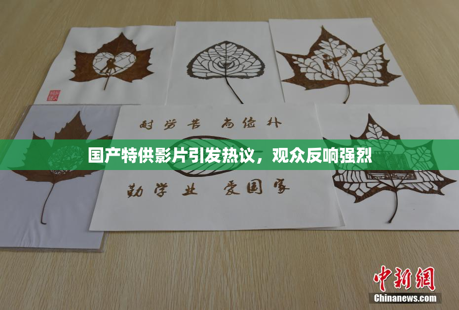 国产特供影片引发热议，观众反响强烈