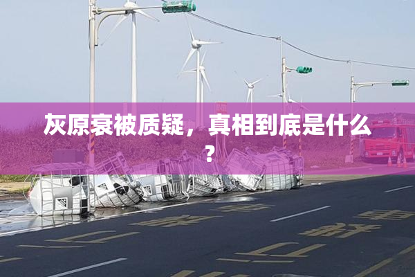 灰原衰被质疑，真相到底是什么？