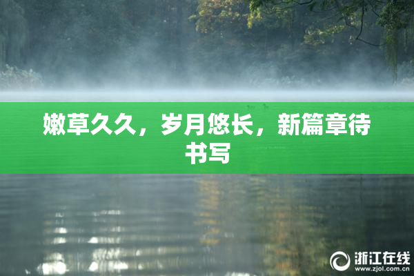 嫩草久久，岁月悠长，新篇章待书写