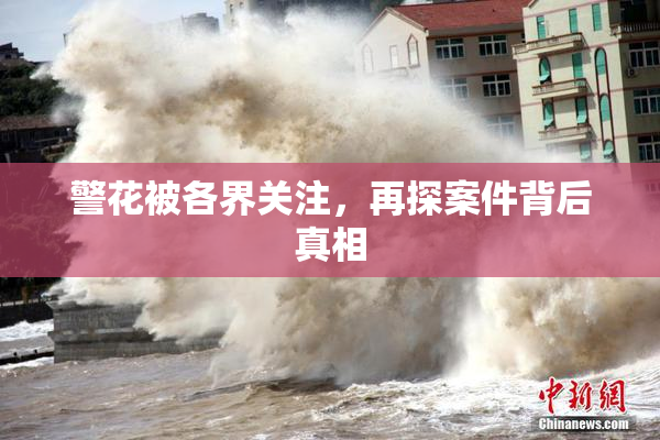 警花被各界关注，再探案件背后真相
