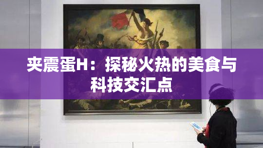 夹震蛋H：探秘火热的美食与科技交汇点